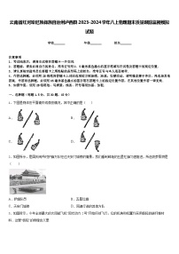 云南省红河哈尼族彝族自治州泸西县2023-2024学年八上物理期末质量跟踪监视模拟试题含答案