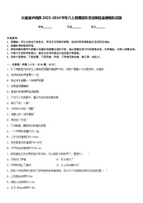 云南省泸西县2023-2024学年八上物理期末质量跟踪监视模拟试题含答案