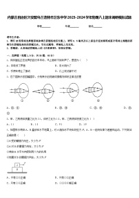 内蒙古自治区兴安盟乌兰浩特市卫东中学2023-2024学年物理八上期末调研模拟试题含答案