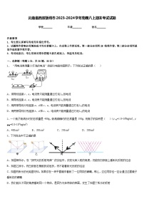 云南省西双版纳市2023-2024学年物理八上期末考试试题含答案