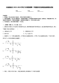 云南省迪庆2023-2024学年八年级物理第一学期期末质量跟踪监视模拟试题含答案