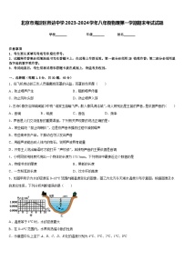 北京市海淀区师达中学2023-2024学年八年级物理第一学期期末考试试题含答案