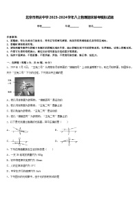 北京市师达中学2023-2024学年八上物理期末联考模拟试题含答案