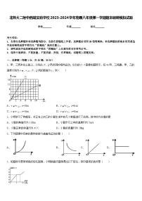 北师大二附中西城实验学校2023-2024学年物理八年级第一学期期末调研模拟试题含答案