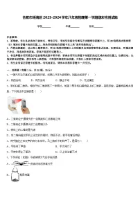 合肥市瑶海区2023-2024学年八年级物理第一学期期末检测试题含答案