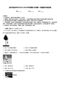 吉林市重点中学2023-2024学年物理八年级第一学期期末检测试题含答案