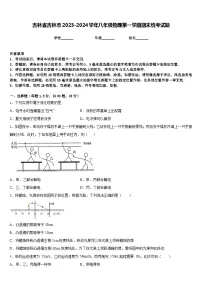 吉林省吉林市2023-2024学年八年级物理第一学期期末统考试题含答案