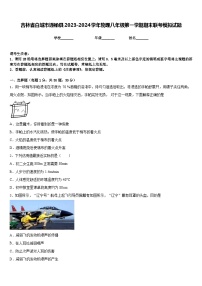 吉林省白城市通榆县2023-2024学年物理八年级第一学期期末联考模拟试题含答案