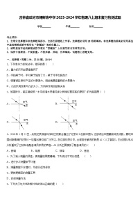 吉林省蛟河市朝鲜族中学2023-2024学年物理八上期末复习检测试题含答案