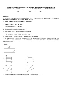 四川省乐山市第五中学2023-2024学年八年级物理第一学期期末联考试题含答案