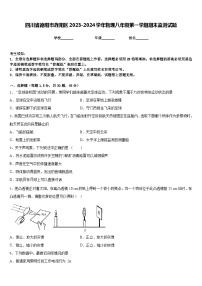 四川省德阳市旌阳区2023-2024学年物理八年级第一学期期末监测试题含答案