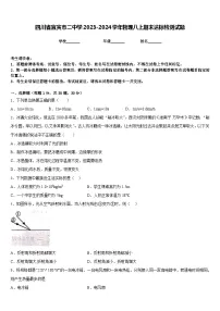 四川省宜宾市二中学2023-2024学年物理八上期末达标检测试题含答案