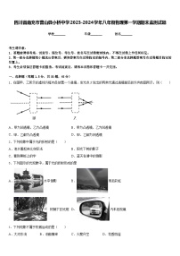 四川省南充市营山县小桥中学2023-2024学年八年级物理第一学期期末监测试题含答案