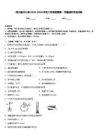 四川省开江县2023-2024学年八年级物理第一学期期末检测试题含答案