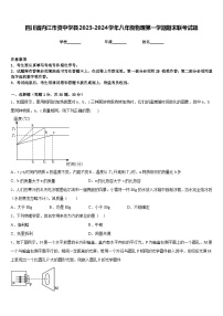 四川省内江市资中学县2023-2024学年八年级物理第一学期期末联考试题含答案