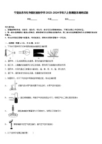 宁夏吴忠市红寺堡区回民中学2023-2024学年八上物理期末调研试题含答案