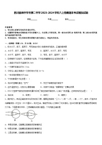 四川省阆中学市第二中学2023-2024学年八上物理期末考试模拟试题含答案