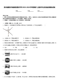 四川省雅安市雨城区雅安中学2023-2024学年物理八上期末学业质量监测模拟试题含答案