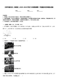 天津市部分区（蓟州区）2023-2024学年八年级物理第一学期期末统考模拟试题含答案