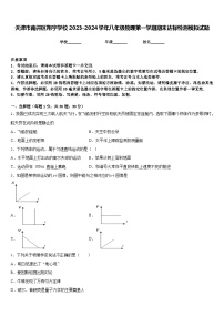 天津市南开区翔宇学校2023-2024学年八年级物理第一学期期末达标检测模拟试题含答案