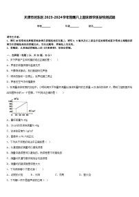 天津市河东区2023-2024学年物理八上期末教学质量检测试题含答案