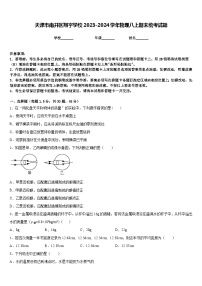 天津市南开区翔宇学校2023-2024学年物理八上期末统考试题含答案