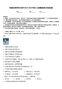 安徽省合肥市科大附中2023-2024学年八上物理期末复习检测试题含答案