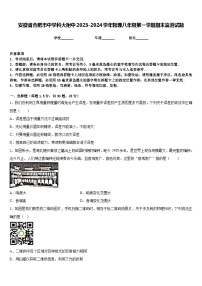 安徽省合肥市中学科大附中2023-2024学年物理八年级第一学期期末监测试题含答案