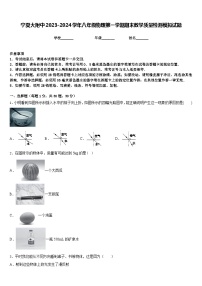 宁夏大附中2023-2024学年八年级物理第一学期期末教学质量检测模拟试题含答案