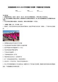 安徽省临泉县2023-2024学年物理八年级第一学期期末复习检测试题含答案
