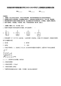 安徽省合肥市瑶海区部分学校2023-2024学年八上物理期末监测模拟试题含答案