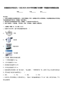 安徽省安庆市安庆九一六校2023-2024学年物理八年级第一学期期末经典模拟试题含答案