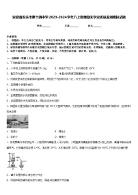 安徽省安庆市第十四中学2023-2024学年八上物理期末学业质量监测模拟试题含答案