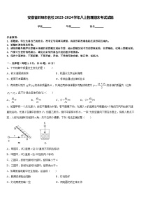 安徽省蚌埠市名校2023-2024学年八上物理期末考试试题含答案