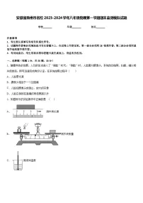 安徽省滁州市名校2023-2024学年八年级物理第一学期期末监测模拟试题含答案