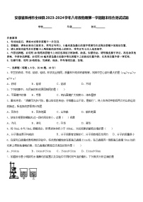 安徽省滁州市全椒县2023-2024学年八年级物理第一学期期末综合测试试题含答案