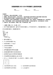 安徽省枞阳县2023-2024学年物理八上期末统考试题含答案