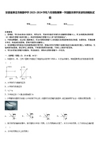 安徽省淮北市西园中学2023-2024学年八年级物理第一学期期末教学质量检测模拟试题含答案