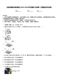 安徽省淮南市谢家集区2023-2024学年物理八年级第一学期期末统考试题含答案