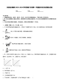 安徽省灵璧县2023-2024学年物理八年级第一学期期末综合测试模拟试题含答案