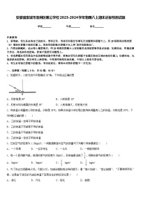 安徽省宣城市宣州区裘公学校2023-2024学年物理八上期末达标检测试题含答案