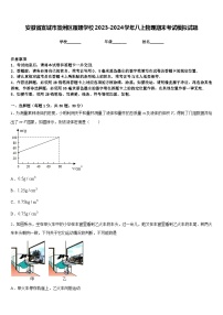 安徽省宣城市宣州区雁翅学校2023-2024学年八上物理期末考试模拟试题含答案