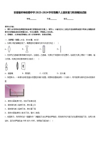 安徽省蚌埠铁路中学2023-2024学年物理八上期末复习检测模拟试题含答案