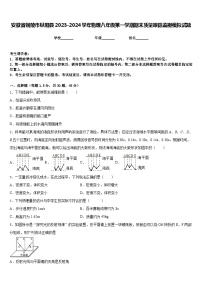 安徽省铜陵市枞阳县2023-2024学年物理八年级第一学期期末质量跟踪监视模拟试题含答案