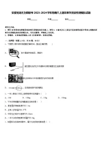 安徽芜湖无为县联考2023-2024学年物理八上期末教学质量检测模拟试题含答案