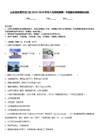 山东省东营市河口区2023-2024学年八年级物理第一学期期末调研模拟试题含答案