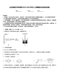 山东省临沂市郯城县2023-2024学年八上物理期末达标测试试题含答案