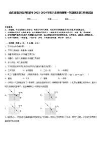 山东省临沂临沭县联考2023-2024学年八年级物理第一学期期末复习检测试题含答案