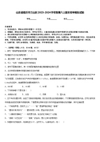 山东省临沂市兰山区2023-2024学年物理八上期末统考模拟试题含答案