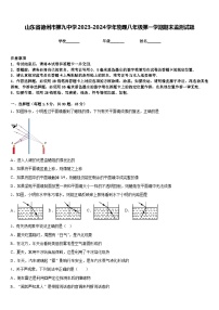 山东省德州市第九中学2023-2024学年物理八年级第一学期期末监测试题含答案